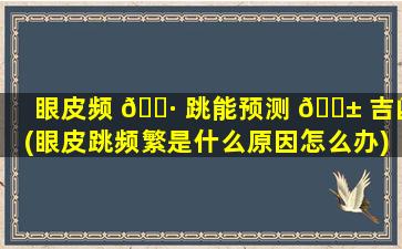 眼皮频 🌷 跳能预测 🐱 吉凶(眼皮跳频繁是什么原因怎么办)
